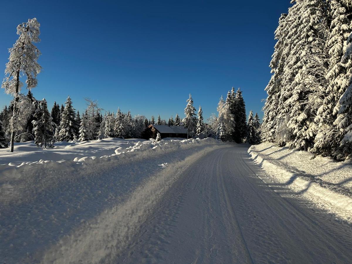 Sore Osen Orbekken Torberget Exteriör bild