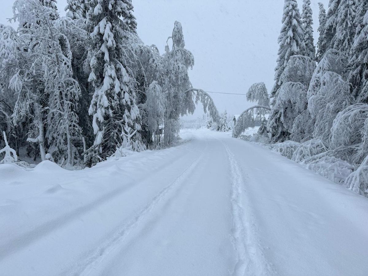 Sore Osen Orbekken Torberget Exteriör bild